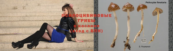 PSILOCYBIN Абдулино