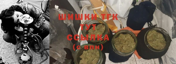 PSILOCYBIN Абдулино