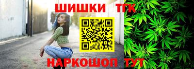 крисы Лесосибирск