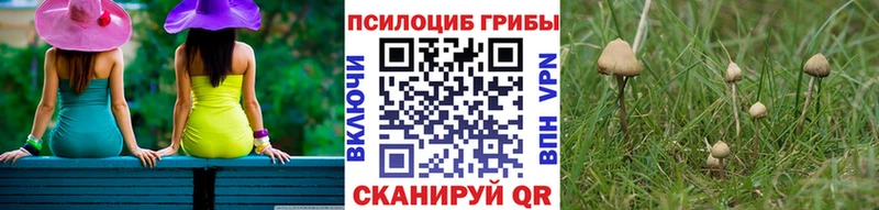 KRAKEN ССЫЛКА  Камышлов  Галлюциногенные грибы прущие грибы 