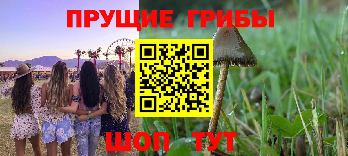 Камышлов  Галлюциногенные грибы мухоморы  Вход с VPN  Псилоцибиновые грибы Cubensis 